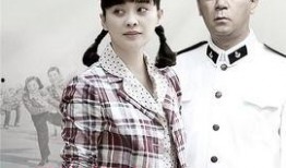 父母爱情电视剧全集在线观看45,45集精彩剧情回顾